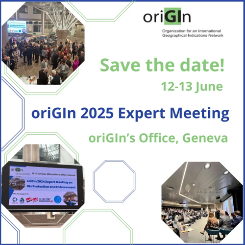OriGIn Expert Meeting Geneva